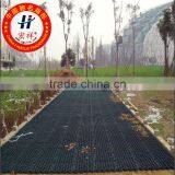 Green Parking Space Grass Grid thumbnail-1