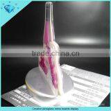 Customize Acrylic Wine Bottle Shaped Menu Display Stand thumbnail-3