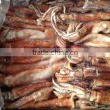 Top Quality Frozen Squid Todarodes Pacificus Frozen on Vessel With Best Freshness thumbnail-5