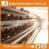 High Quality Cheap Poultry Cage Layer Chicken Used Chicken Cage thumbnail-5