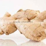 Young Ginger From China thumbnail-5