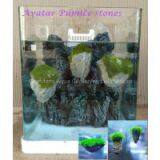 Avatar Pumice Stone, Aquarium Pumice Stone thumbnail-2