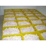 Approved Halal Frozen Chicken Feet thumbnail-2