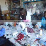 Changzhou Day Colour Jewelry Co., Ltd. company overview - view 1 thumbnail