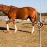 Anti-rust & Anti-corrosion Fixed Knot Horse Fence thumbnail-5
