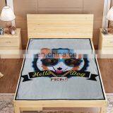 Wholesale Custom New Flannel Cartoon Printed Leisure Blanket thumbnail-1