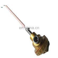 High Capacity Ceramic Tube R Type Temperature Sensor in Pt-Rh Diameter 0.5mm