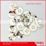 Four Holes Real Trocus Shell Buttons thumbnail-2