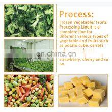 Frozen Mix Vegetable Potato and Fruit Vortex Washing Machine Vegetable Processing Line Machine thumbnail-2