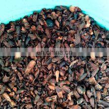 Wholesale Cocoa Shells in Bulk/100% Natural Ingredients for Animal Food Processing From Vietnam thumbnail-5