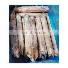 Good Quality IQF Frozen Whole Squid for Export