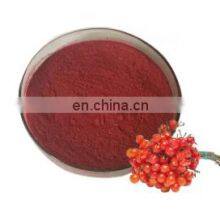 Factory Supply Pure Australian Blushwood Berry Extract Blushwood Berry Fruit Extract Fruit Vegetable Powder Production Line thumbnail-2