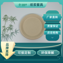 Disposable Biodegradable Plate