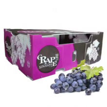 Wholesale Corrugated PP Plastic Fruit & Vegetable Crates – Custom Packaging Box Factory thumbnail-1