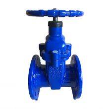 Trending Products DIN Soft Seat GG25 GGG40 DN100 F4 NRS Gate Valve Lighter Type Resilient Gate Valve thumbnail-4