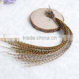 New Arrival Hot Whiting Rooster Feathers Rooster Tail Feathers Feathers For Sale Cheap Long Rooster Feathers Good Quality thumbnail-1