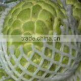 Custard Apple