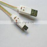 Smiley Face Micro Cable