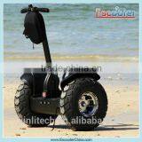 Good Quality Awesome Two Wheel Electric Vehicle Electric Chariot Price thumbnail-3