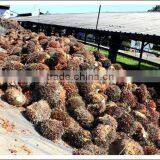 40-80TPDPalm Oil Processing Machine,Palm Oil Production Line, Crude Palm Oil Refinery and Fractionation Plant