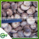 Shiitake Cuts thumbnail-3