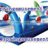 Inflatable Double Arch Water Slide With Pool SP-PS038