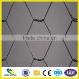 Weave Mesh Type and Hexagonal Hole Shape Hexagonal Wire Mesh for Zoo Bird Cages thumbnail-6