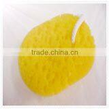 Super Absorbent Car Wash Sponge