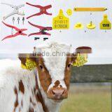 Animal Insured Visual Ear Tag Without Laser Printing Number