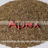 Dill Seed / Anthem Graveolens / Suwa