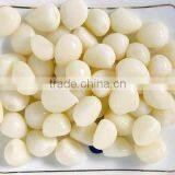 Hot Sale Fresh Chinese Normal White Garlic thumbnail-3