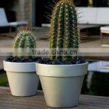 Luxury Top Quality Floating Bonsai Pot Fiberglass Plants Container and Flowers Pots thumbnail-3