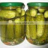Small Pickled Cucumber thumbnail-1