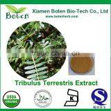 Manufacturer Supplier High Quality Tribulus Terrestris Powder With Free Sample for Wholesale thumbnail-2