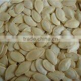 New Crop Shine Skin Pumpkin Seed for Sale thumbnail-1