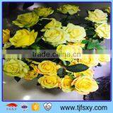 Simulation Art Rose thumbnail-5