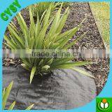 Weed Barrier Cloth,ground Covering Woven Fabric,agricultural Plant Anti Root Weed Mat thumbnail-5