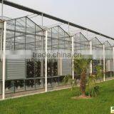 Commercial Glass Greenhouse Supply China Shuiwang thumbnail-6