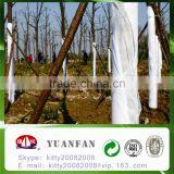 UV Treated PP Spunbond Non Woven Fabric for Plant Cover / Ground Cover / Tree Cover / Tomato Cover