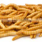 Bird & Fish Food Natural Freeze Dried Mealworms, Freeze Dried Food thumbnail-1