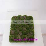 Q111925 China Wholesale Plastic Artificial Moss Home Decoration Moss Ball thumbnail-5