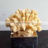 Indoor Resin Coralal Sculpture thumbnail-5