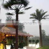 Beijing Palm Technique Development Co., Ltd. company overview - view 3 thumbnail