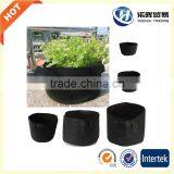 Hydroponics Super Strong Fabric 5 Gallon Grow Bag/pot for Plant Growth thumbnail-1