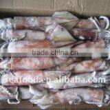 Frozen Squid Todarodes Pacificus thumbnail-1