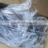 1kg up Giant Squid Tentacle thumbnail-4