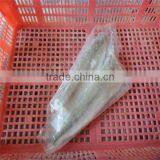 Sea Cleaned Frozen Dried Fish Wholesale thumbnail-1