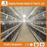 Heracles Factory Price Poultry Equipment Automatic Layer Chicken Egg Cages thumbnail-3