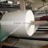 Plastic Flooring and Wall Covering Fiberglass Floor/Carpet Tiles Tissue thumbnail-2