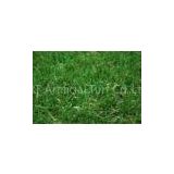 3/8'' Gauge Artificial Grass Lawn , 40mm for landscaping , roof